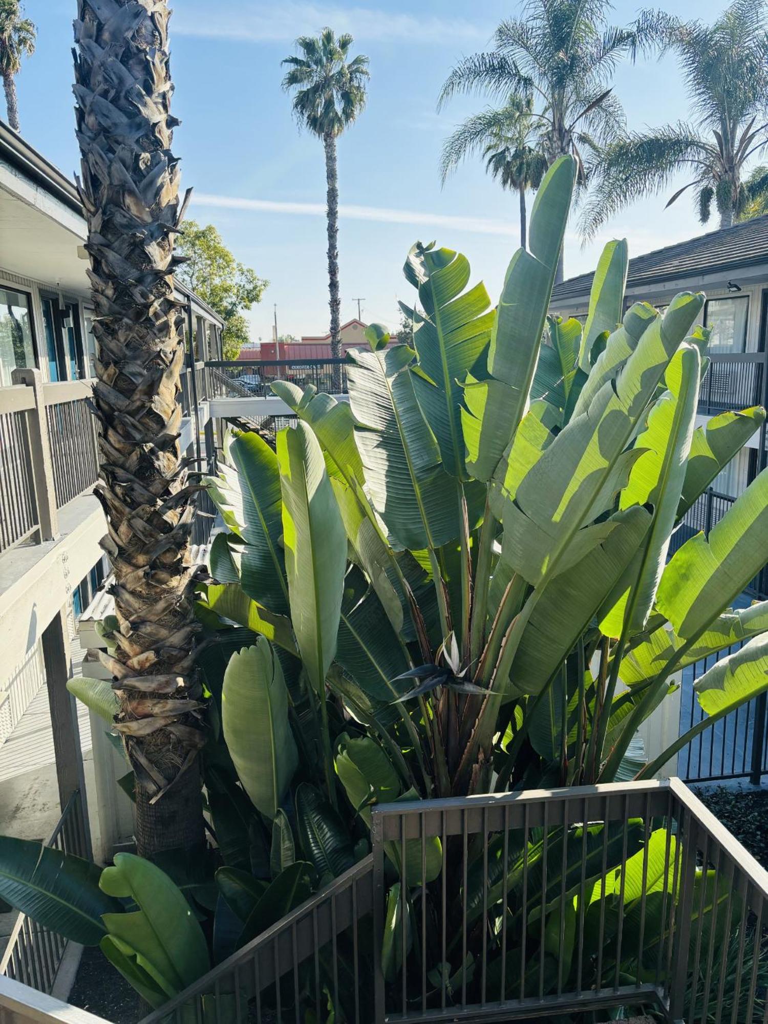 Motel 6-Santa Ana, Ca المظهر الخارجي الصورة